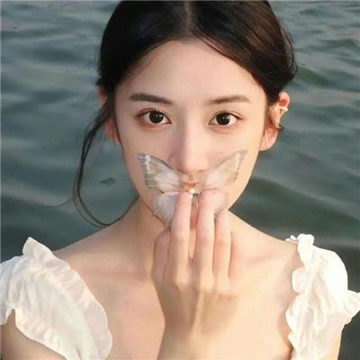 白鸥啊 不要飞起来 在线观看