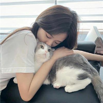 功夫特务 在线观看